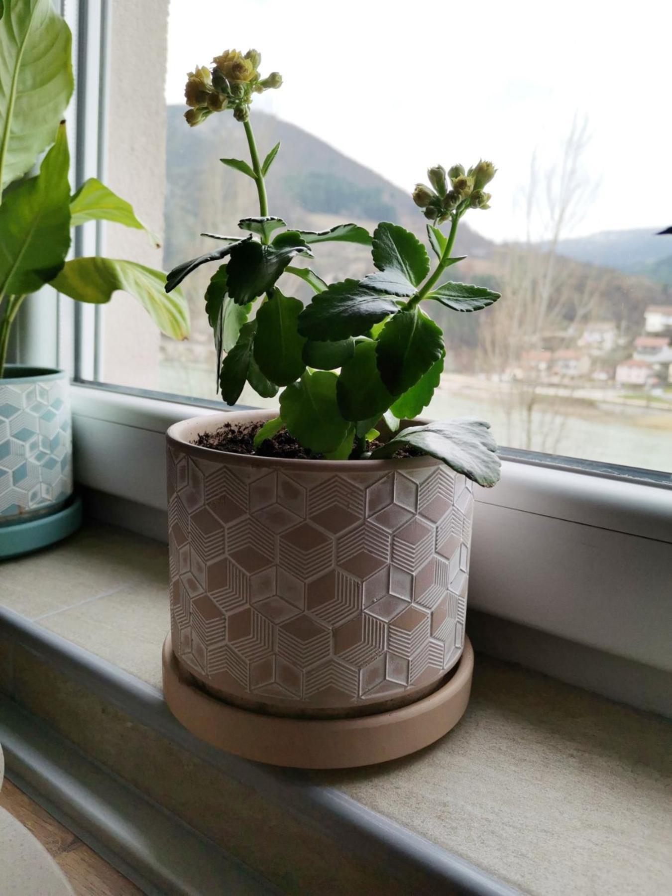 Apartment Mademoiselle Višegrad الغرفة الصورة